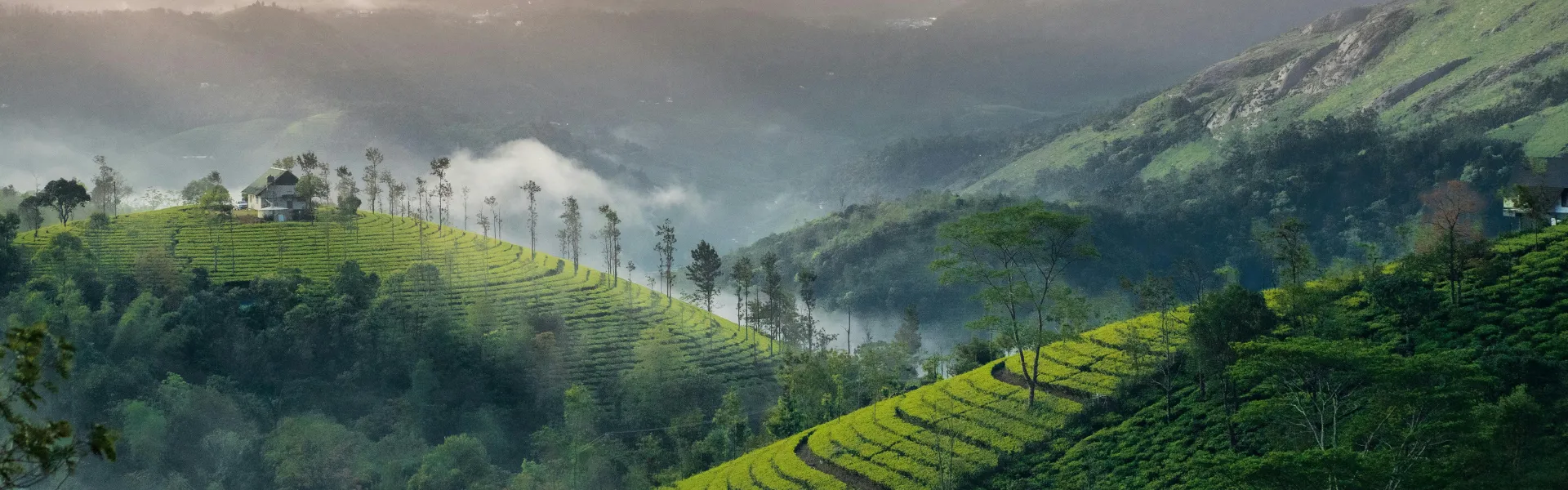 kerala